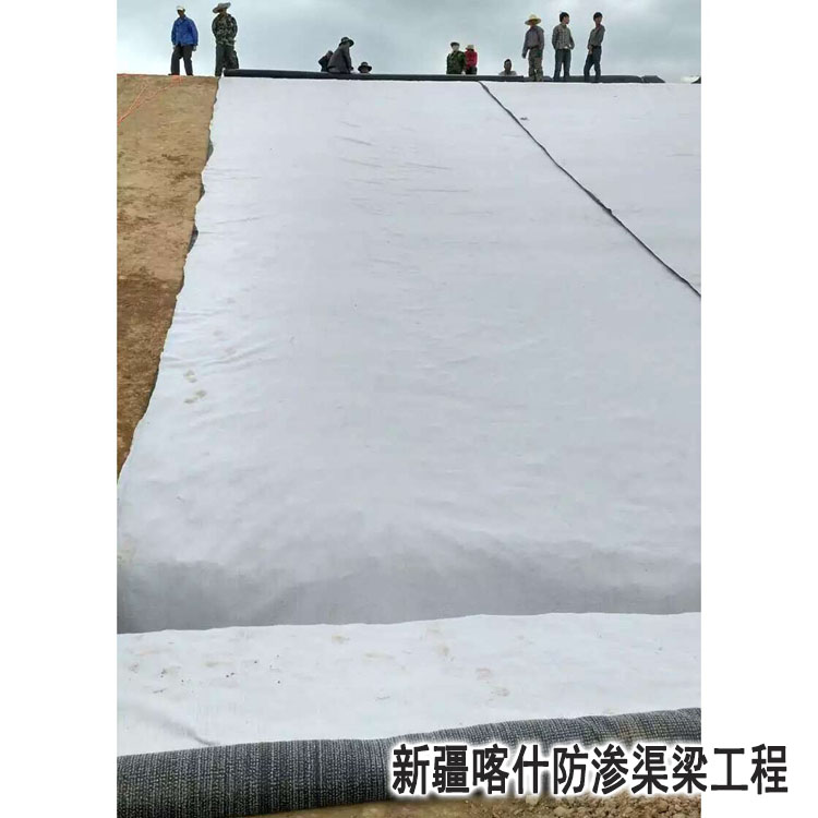 新(xīn)疆喀什防(fang)滲渠梁工(gong)程